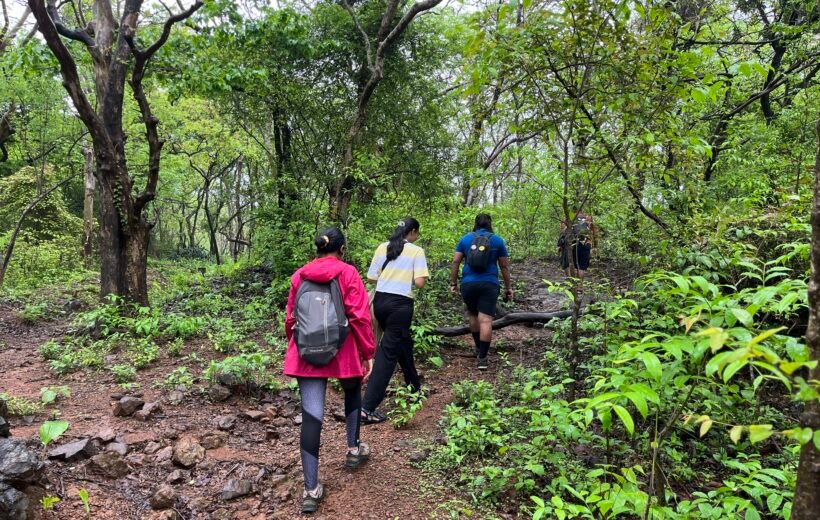 Bay-City Hikes | An Easy Forest Trail in Goregaon